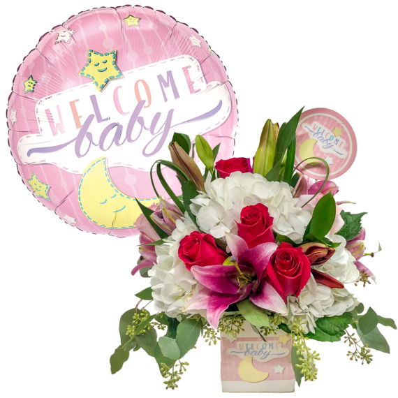 Welcome Baby Girl Bundle