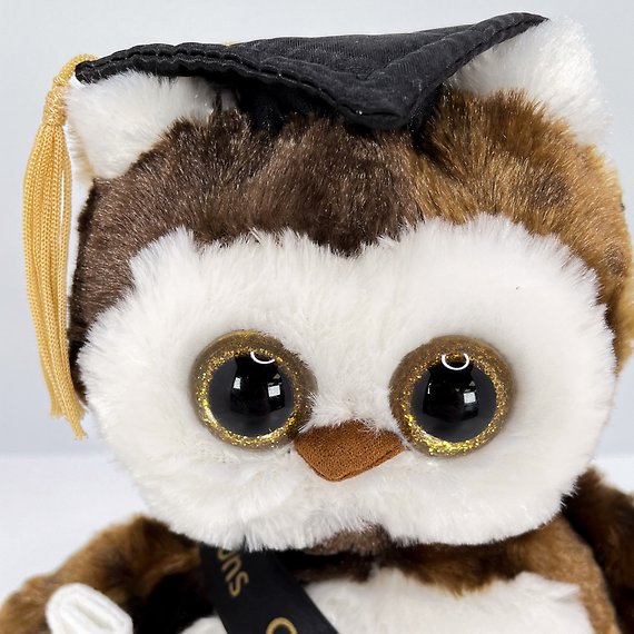 Graduation Owl