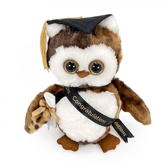 Graduation Owl