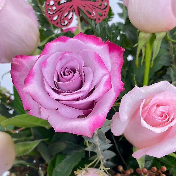 2 Dozen Modern Roses for Mom