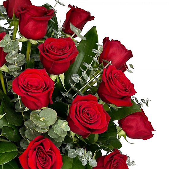 2 Dozen Modern Roses
