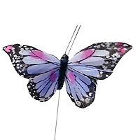Purple Butterfly Cylinder