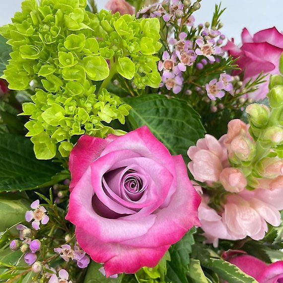 Mother\'s Day Delight