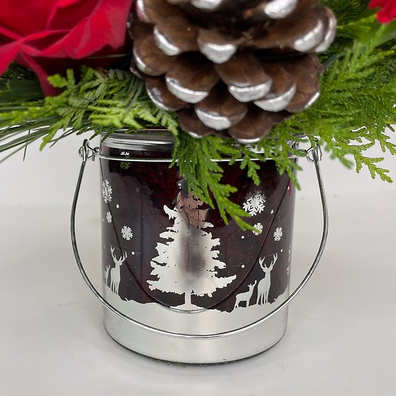 Snowy Evergreens