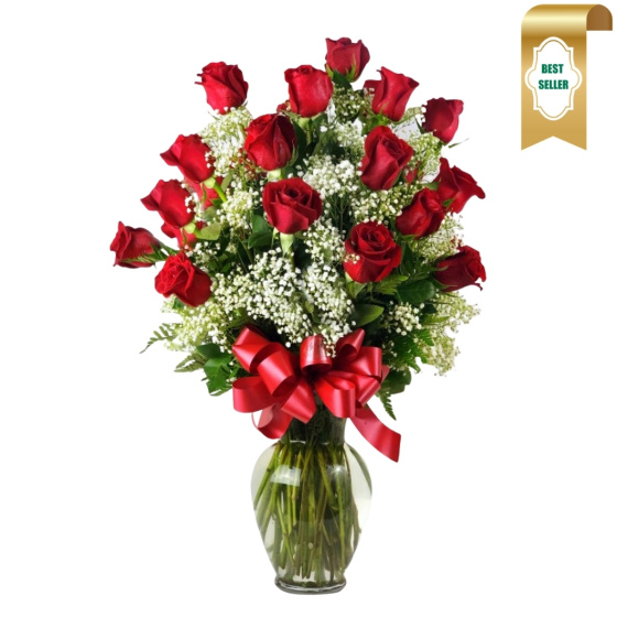 2 Dozen Roses Red