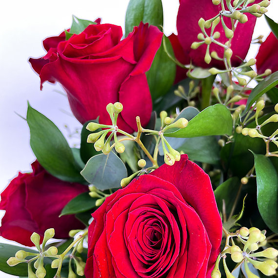 1 Dozen Modern Roses