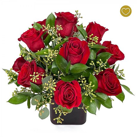 1 Dozen Modern Roses