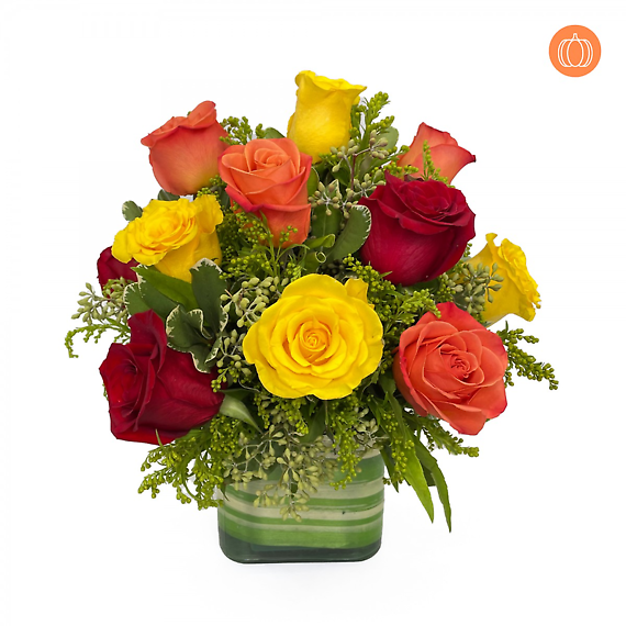 Modern Fall Roses
