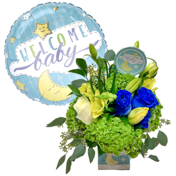 Welcome Baby Boy Bundle