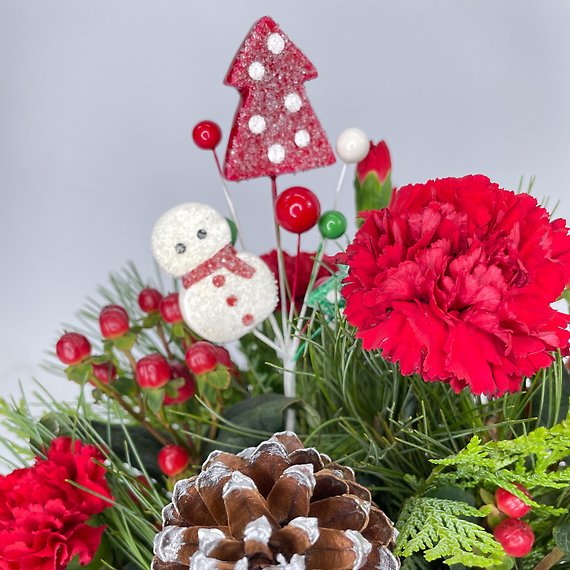 Snowy Evergreens