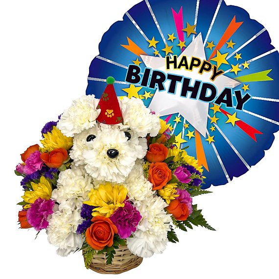 Birthday Rover