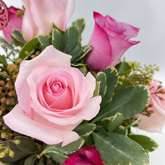 1 Dozen Modern Roses for Mom