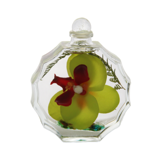 Green Orchid Sunburst