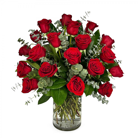 2 Dozen Modern Roses