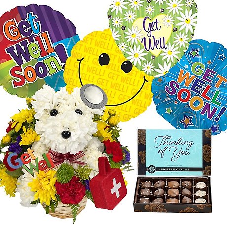 Sick As A Dog Package