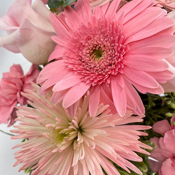 Think Pink