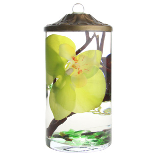Green Orchid Cylinder