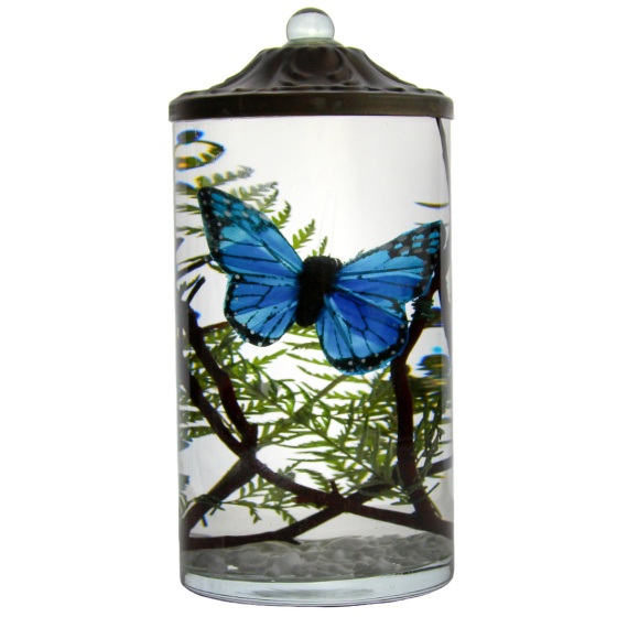 Blue Butterfly Cylinder
