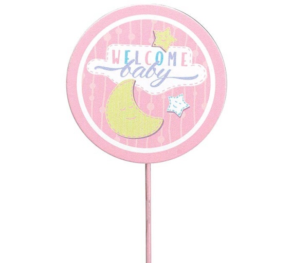 Welcome Baby Girl Bundle