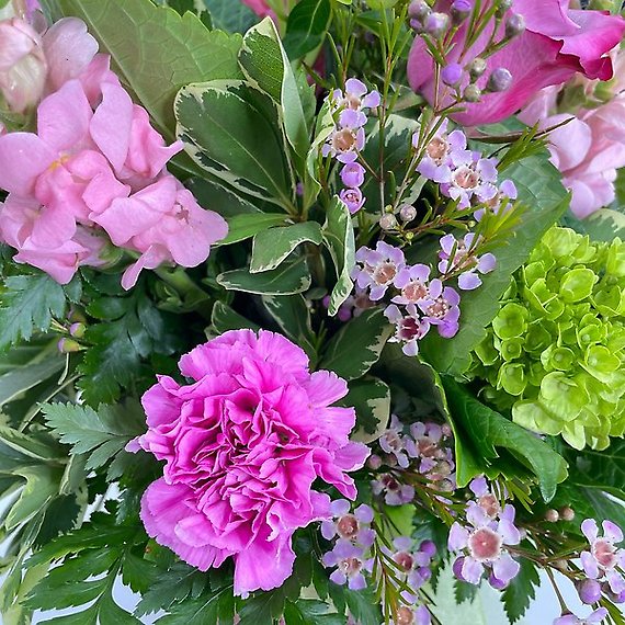 Mother\'s Day Delight