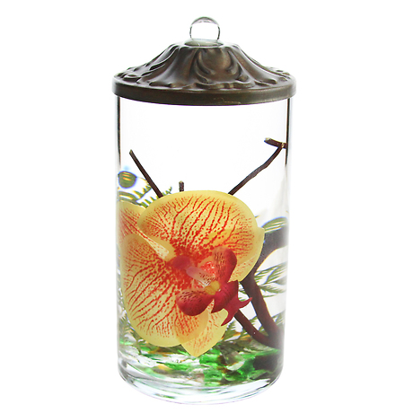 Tangerine Orchid Cylinder